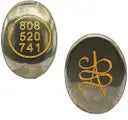 Pyrite zibu coin Crystal Money Magnet