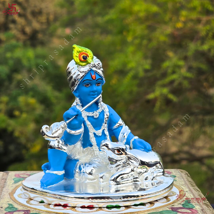 Bal Gopal Idol